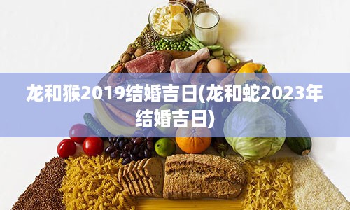 龙和猴2019结婚吉日(龙和蛇2023年结婚吉日)