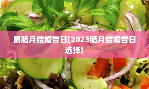 鼠腊月结婚吉日(2023腊月结婚吉日选择)