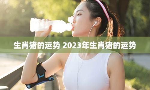 生肖猪的运势 2023年生肖猪的运势