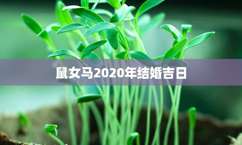 鼠女马2020年结婚吉日