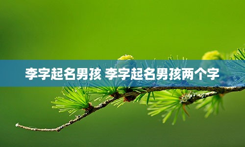李字起名男孩 李字起名男孩两个字
