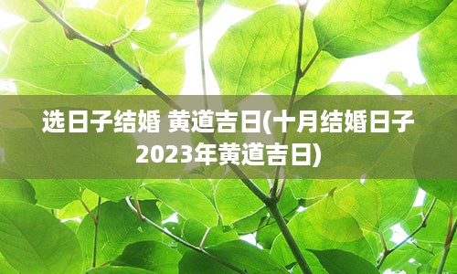 选日子结婚 黄道吉日(十月结婚日子2023年黄道吉日)