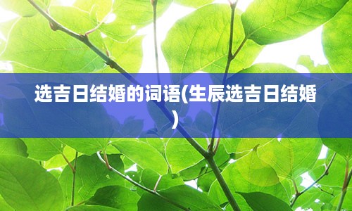 选吉日结婚的词语(生辰选吉日结婚)