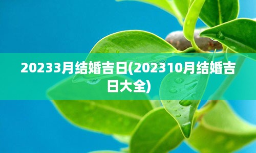 20233月结婚吉日(202310月结婚吉日大全)