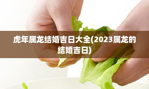 虎年属龙结婚吉日大全(2023属龙的结婚吉日)