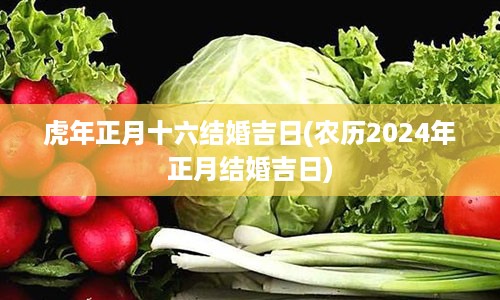 虎年正月十六结婚吉日(农历2024年正月结婚吉日)