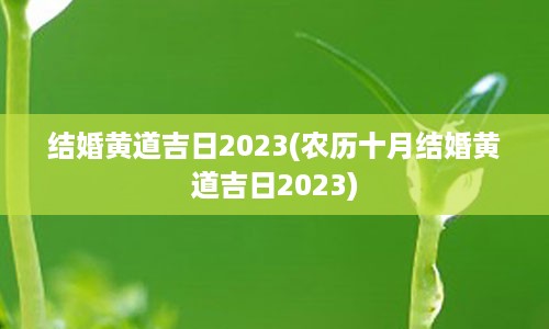 结婚黄道吉日2023(农历十月结婚黄道吉日2023)