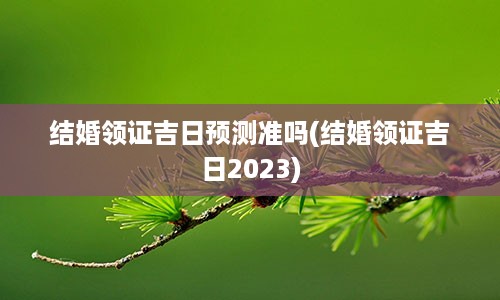 结婚领证吉日预测准吗(结婚领证吉日2023)