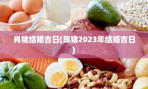 肖猪结婚吉日(属猪2023年结婚吉日)