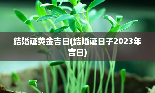 结婚证黄金吉日(结婚证日子2023年吉日)