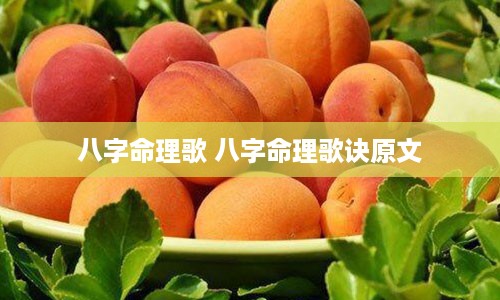 八字命理歌 八字命理歌诀原文