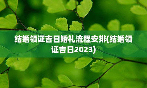 结婚领证吉日婚礼流程安排(结婚领证吉日2023)