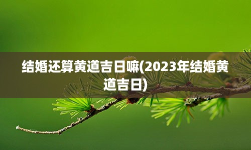 结婚还算黄道吉日嘛(2023年结婚黄道吉日)