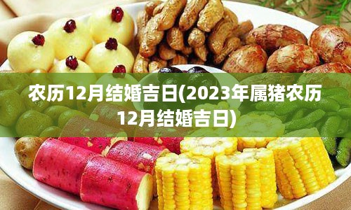 农历12月结婚吉日(2023年属猪农历12月结婚吉日)