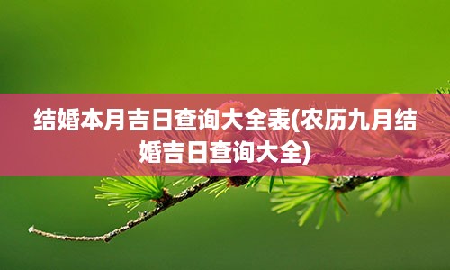 结婚本月吉日查询大全表(农历九月结婚吉日查询大全)