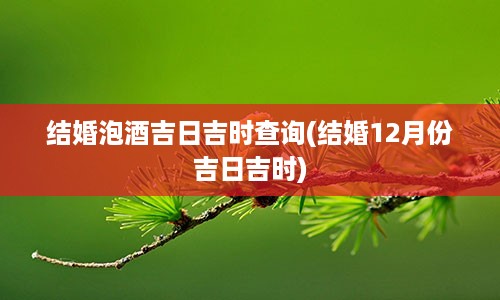 结婚泡酒吉日吉时查询(结婚12月份吉日吉时)