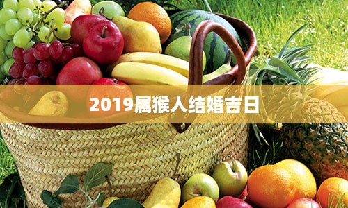 2019属猴人结婚吉日