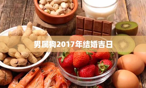 男属狗2017年结婚吉日