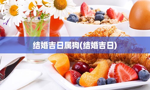 结婚吉日属狗(结婚吉日)