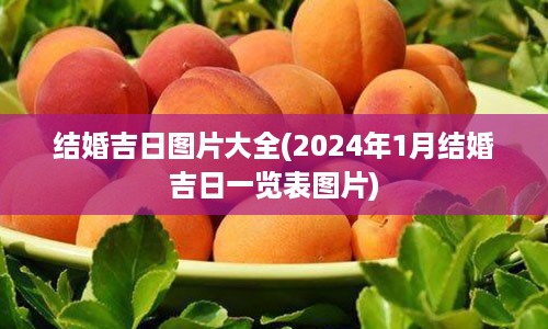 结婚吉日图片大全(2024年1月结婚吉日一览表图片)