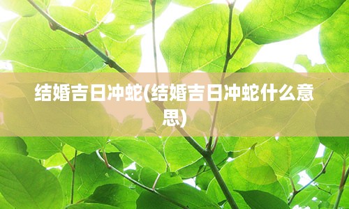 结婚吉日冲蛇(结婚吉日冲蛇什么意思)