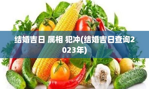 结婚吉日 属相 犯冲(结婚吉日查询2023年)