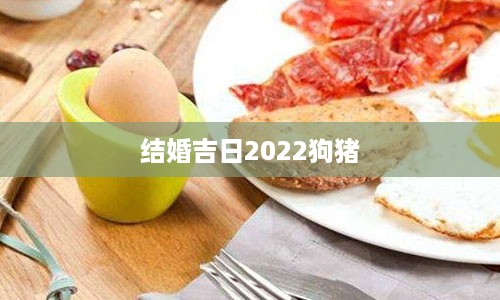 结婚吉日2022狗猪