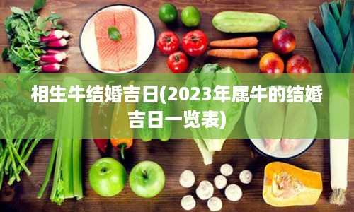 相生牛结婚吉日(2023年属牛的结婚吉日一览表)