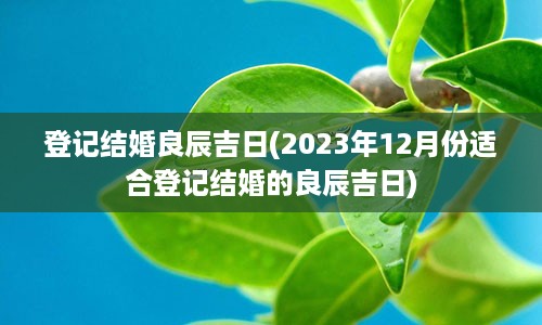 登记结婚良辰吉日(2023年12月份适合登记结婚的良辰吉日)