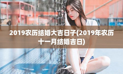 2019农历结婚大吉日子(2019年农历十一月结婚吉日)