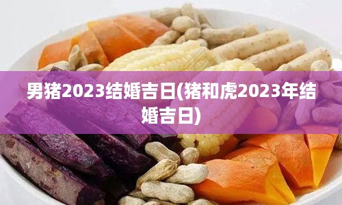 男猪2023结婚吉日(猪和虎2023年结婚吉日)