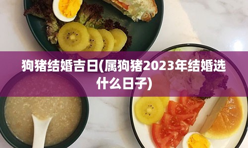 狗猪结婚吉日(属狗猪2023年结婚选什么日子)