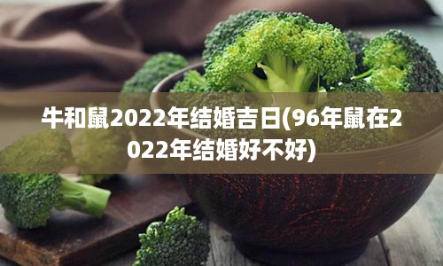 牛和鼠2022年结婚吉日(96年鼠在2022年结婚好不好)