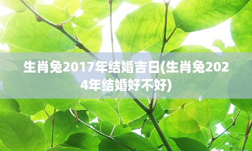 生肖兔2017年结婚吉日(生肖兔2024年结婚好不好)