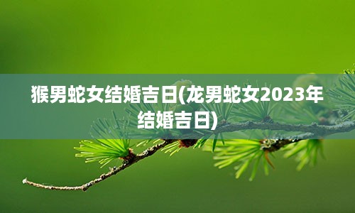 猴男蛇女结婚吉日(龙男蛇女2023年结婚吉日)