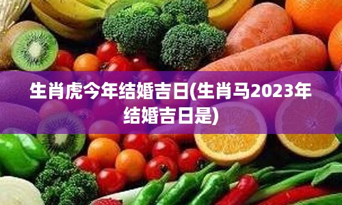 生肖虎今年结婚吉日(生肖马2023年结婚吉日是)