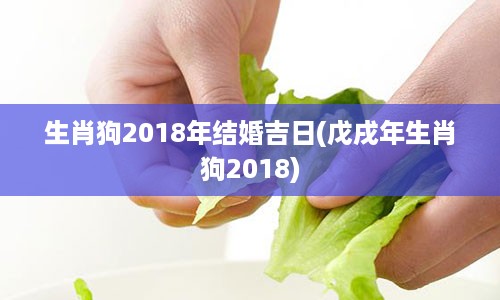 生肖狗2018年结婚吉日(戊戌年生肖狗2018)