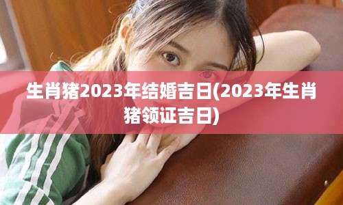 生肖猪2023年结婚吉日(2023年生肖猪领证吉日)