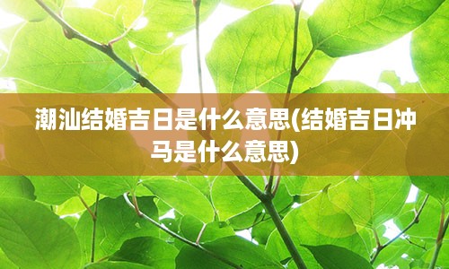 潮汕结婚吉日是什么意思(结婚吉日冲马是什么意思)