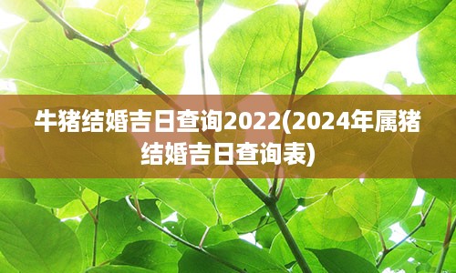 牛猪结婚吉日查询2022(2024年属猪结婚吉日查询表)