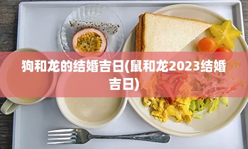 狗和龙的结婚吉日(鼠和龙2023结婚吉日)