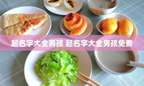 起名字大全男孩 起名字大全男孩免费