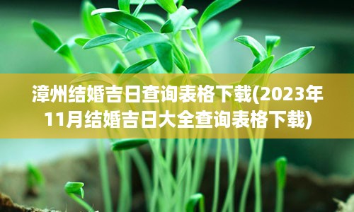 漳州结婚吉日查询表格下载(2023年11月结婚吉日大全查询表格下载)