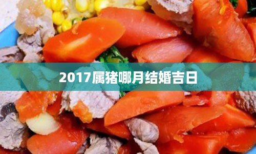 2017属猪哪月结婚吉日