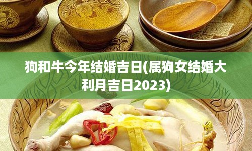 狗和牛今年结婚吉日(属狗女结婚大利月吉日2023)