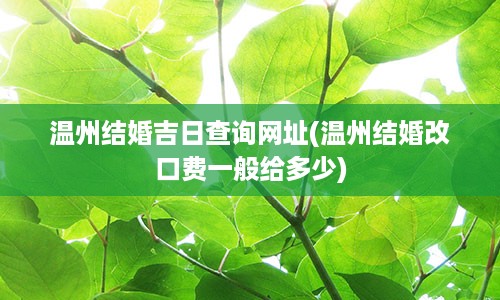 温州结婚吉日查询网址(温州结婚改口费一般给多少)