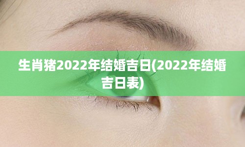 生肖猪2022年结婚吉日(2022年结婚吉日表)