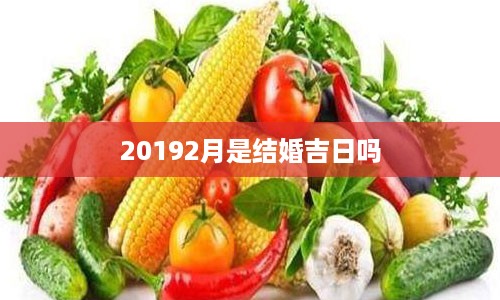 20192月是结婚吉日吗