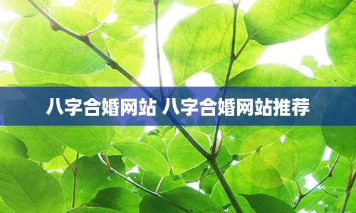 八字合婚网站 八字合婚网站推荐