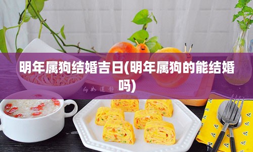 明年属狗结婚吉日(明年属狗的能结婚吗)